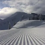 Alpine-lodge * Schladming