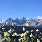 Alpine-lodge *