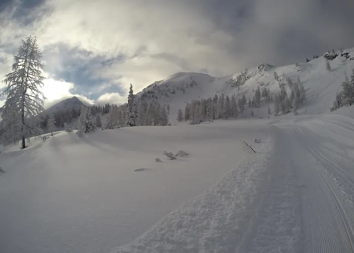 阿尔卑斯-洛奇酒店
